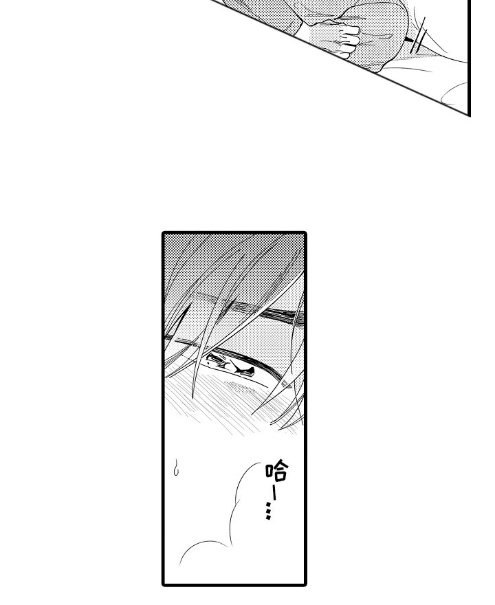 第13章：主导