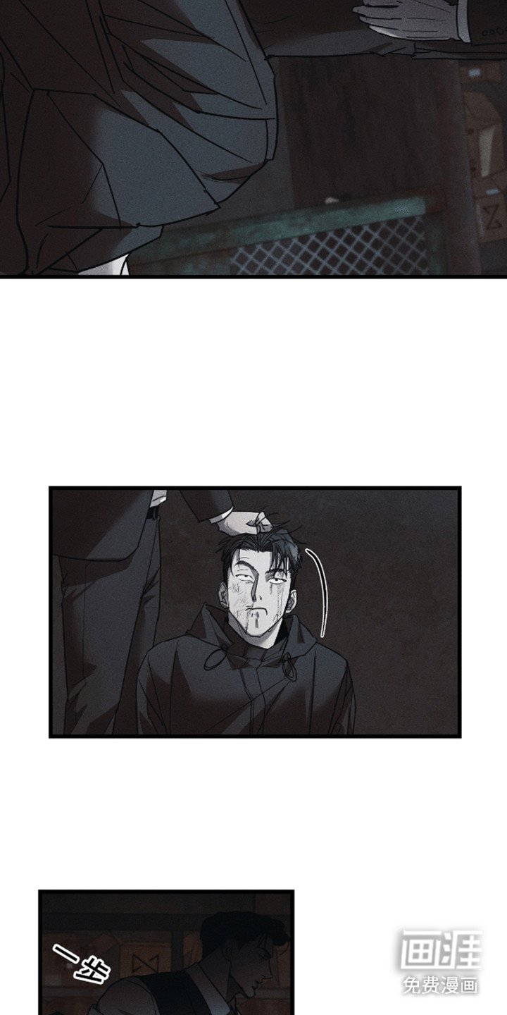 第11章：调查