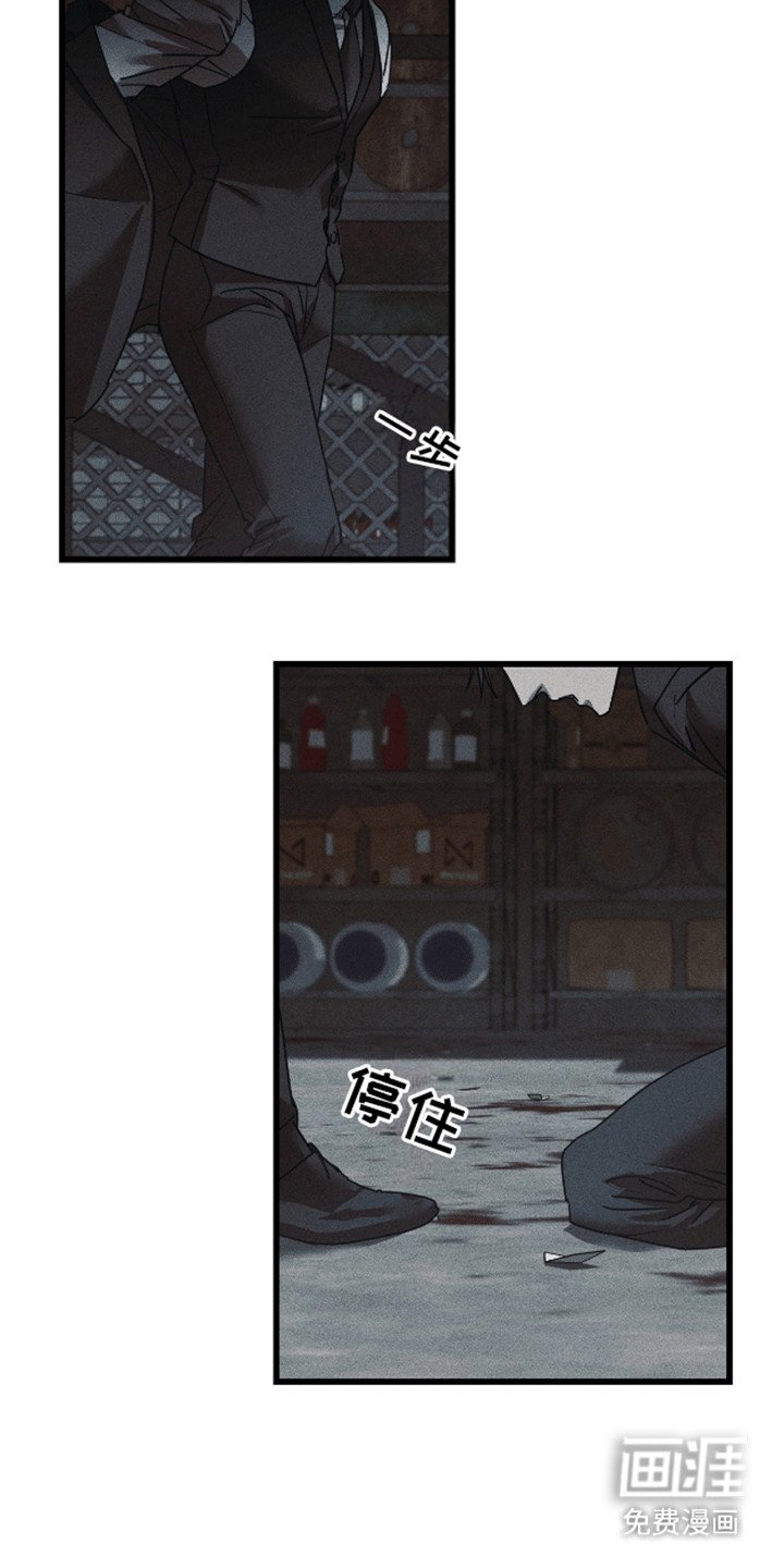 第11章：调查