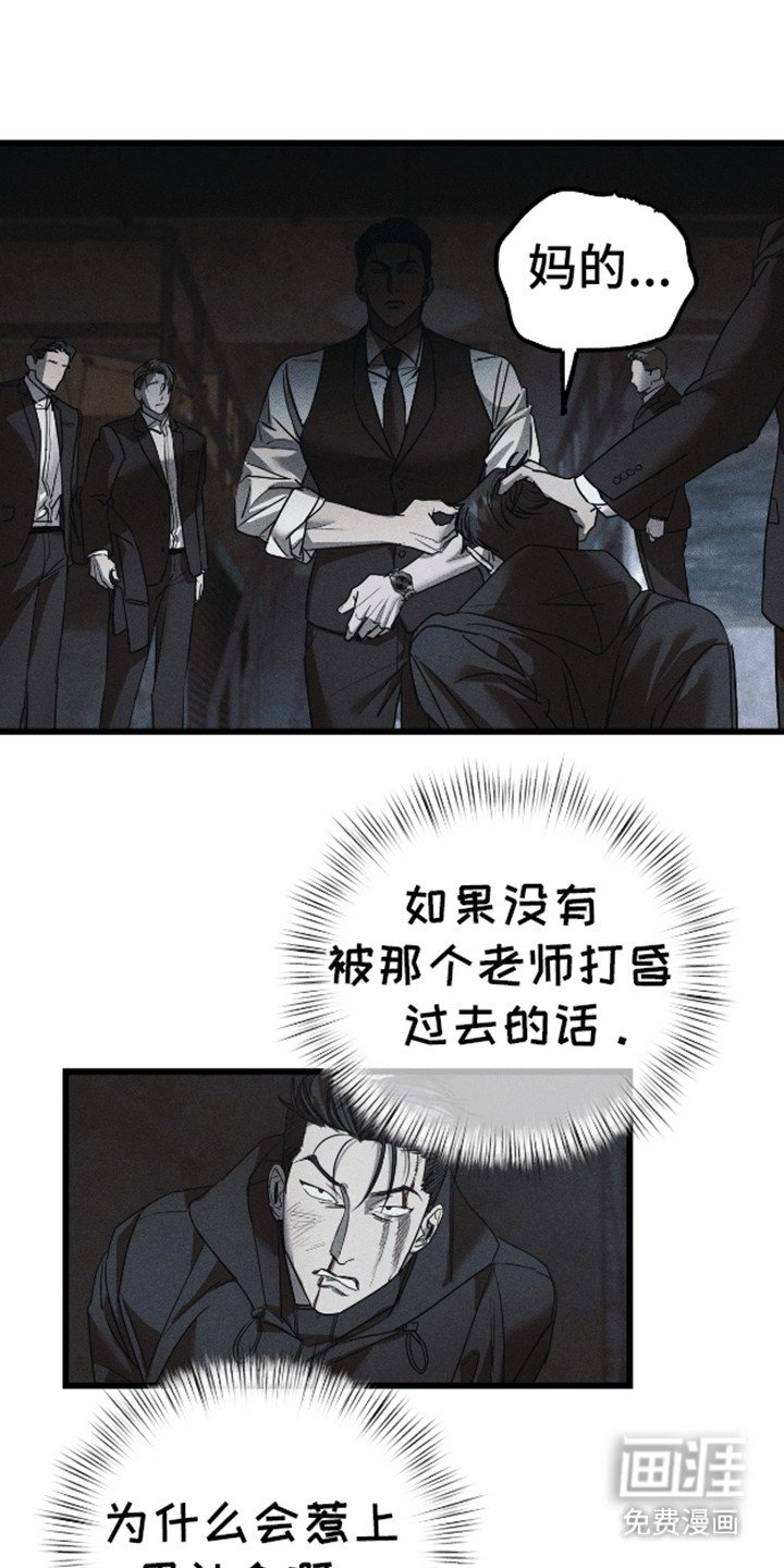 第11章：调查