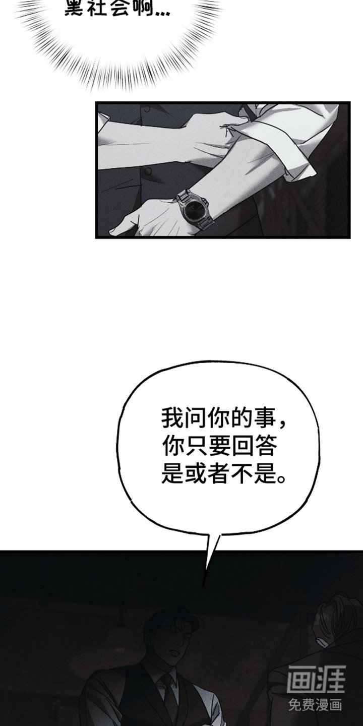 第11章：调查