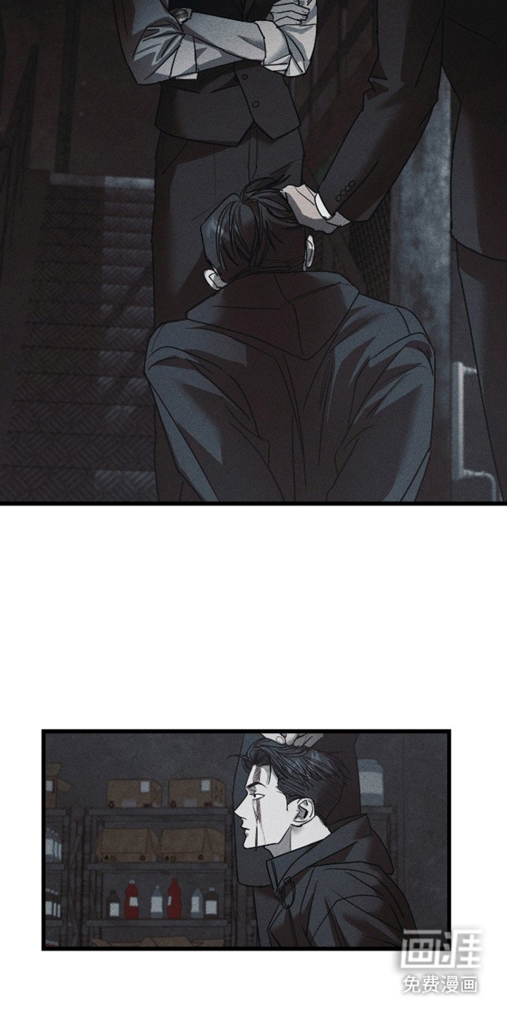 第11章：调查