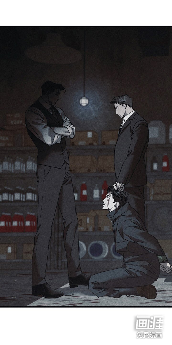 第11章：调查