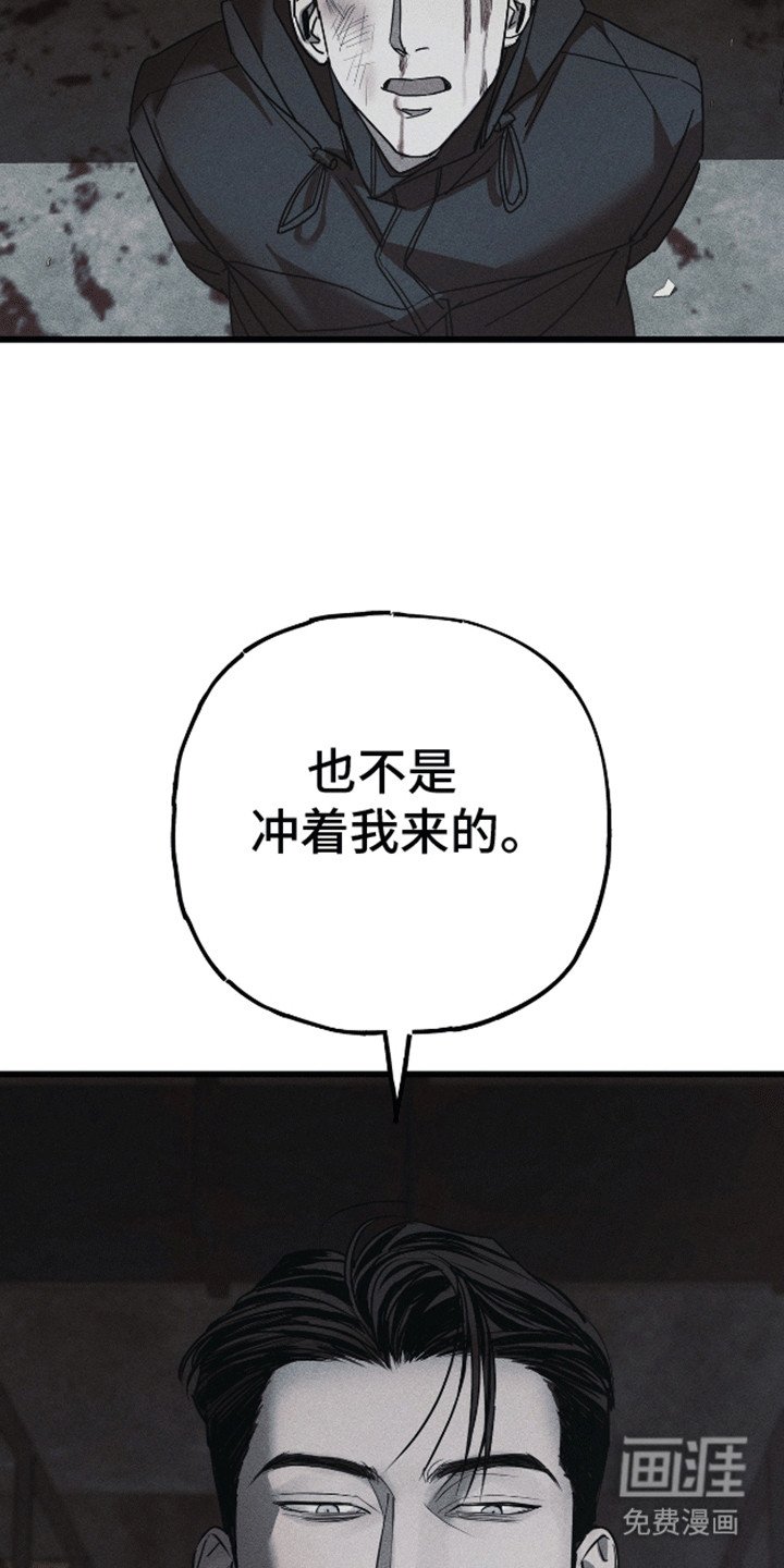 第11章：调查