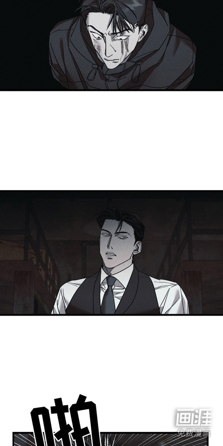 第11章：调查