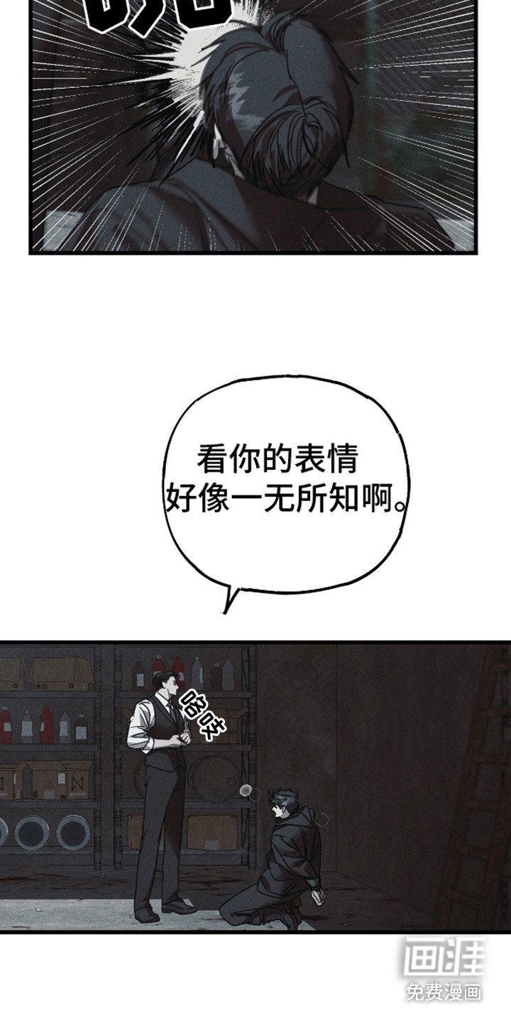 第11章：调查