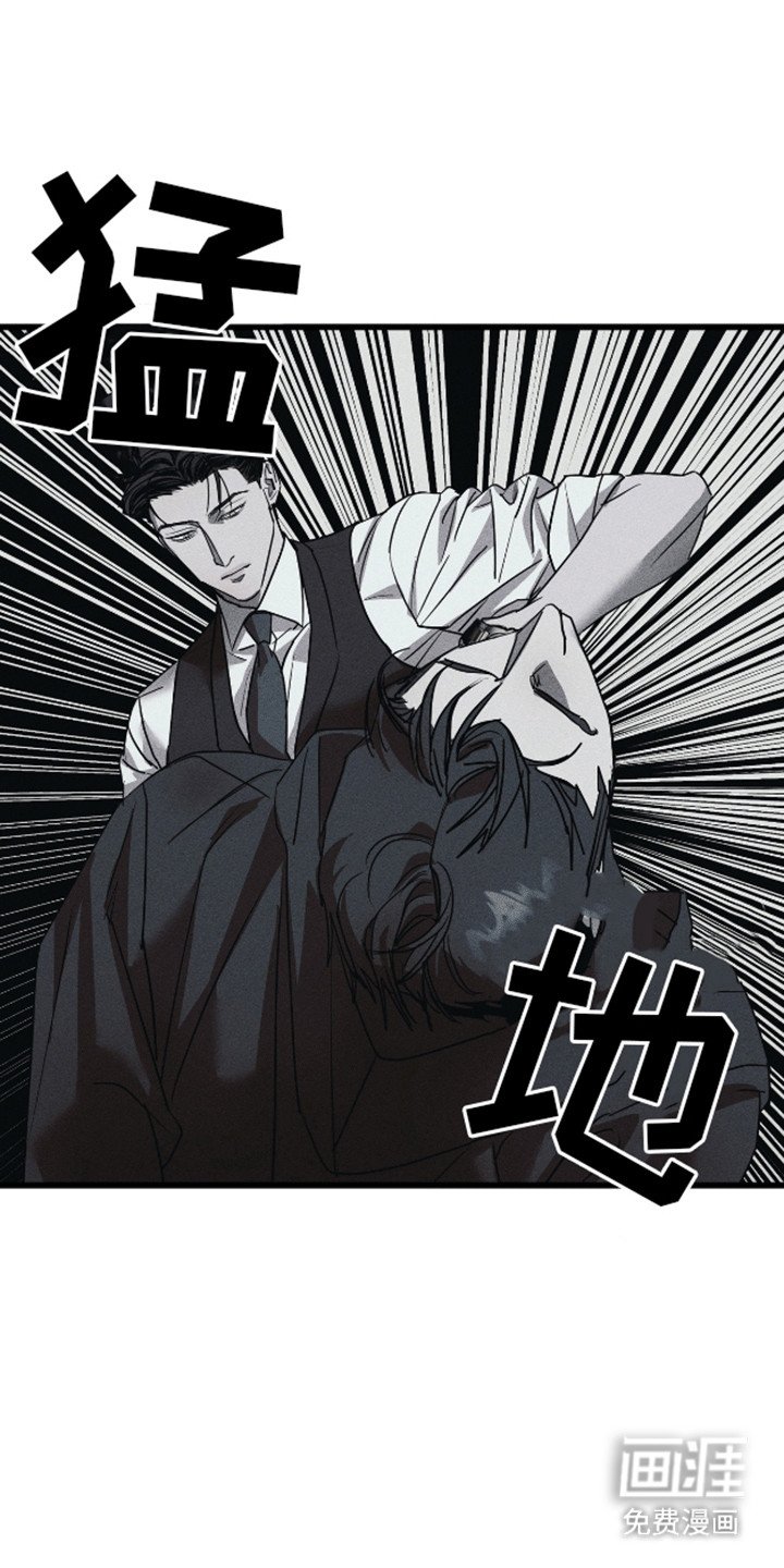第11章：调查