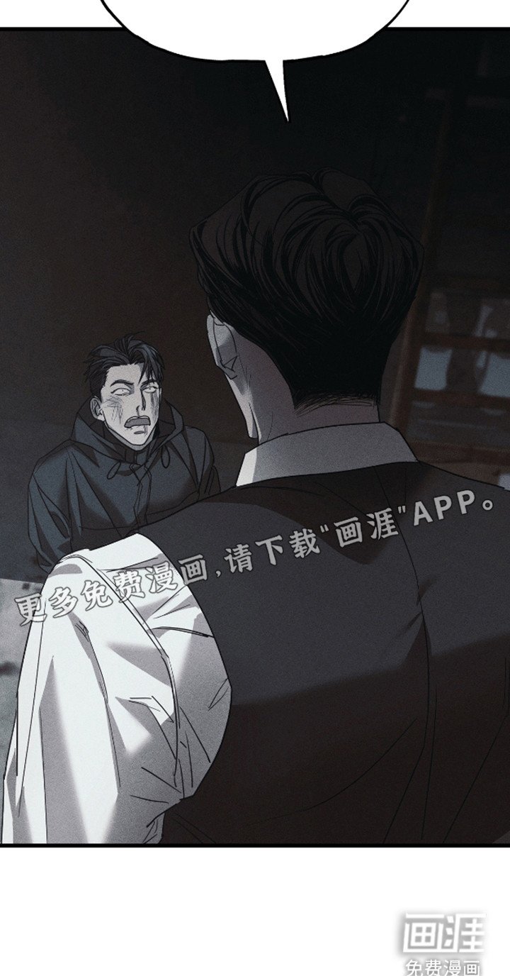 第11章：调查
