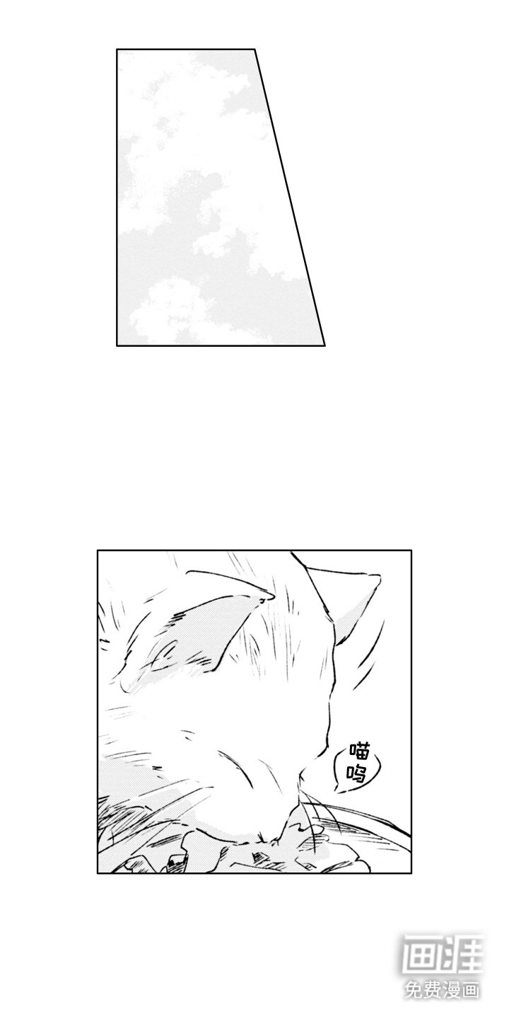 第10章：收养