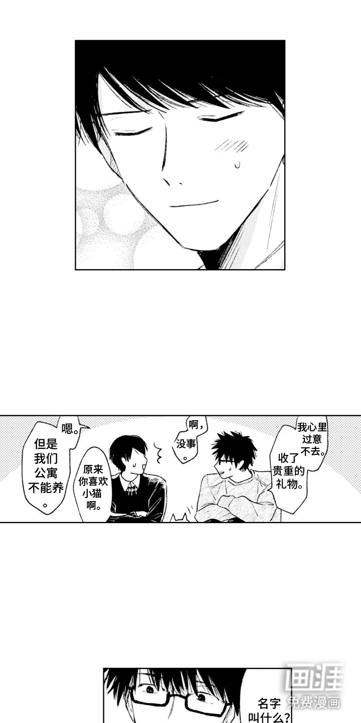 第10章：收养