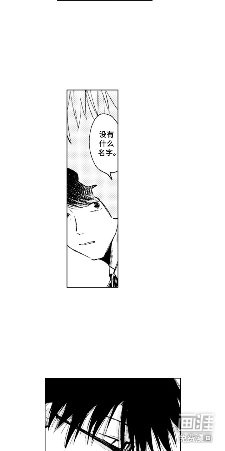 第10章：收养