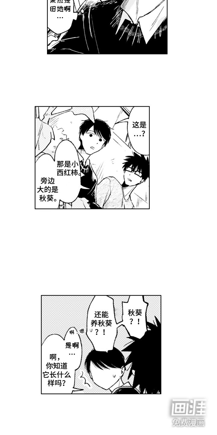 第10章：收养
