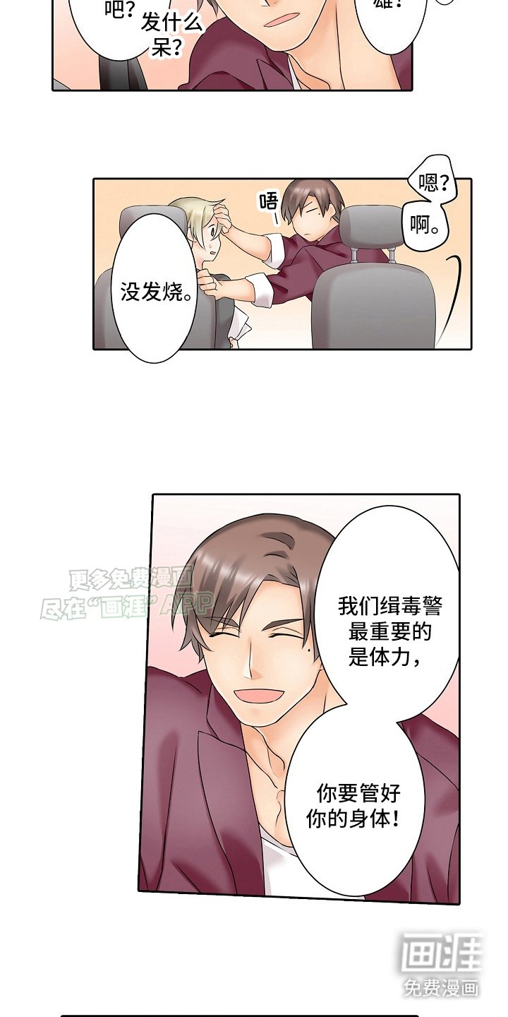 第12章：陷阱