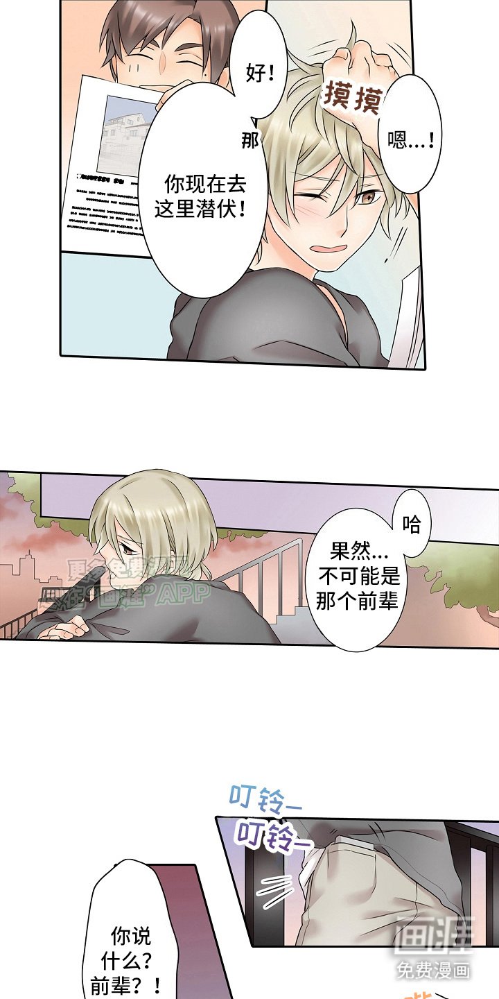 第12章：陷阱
