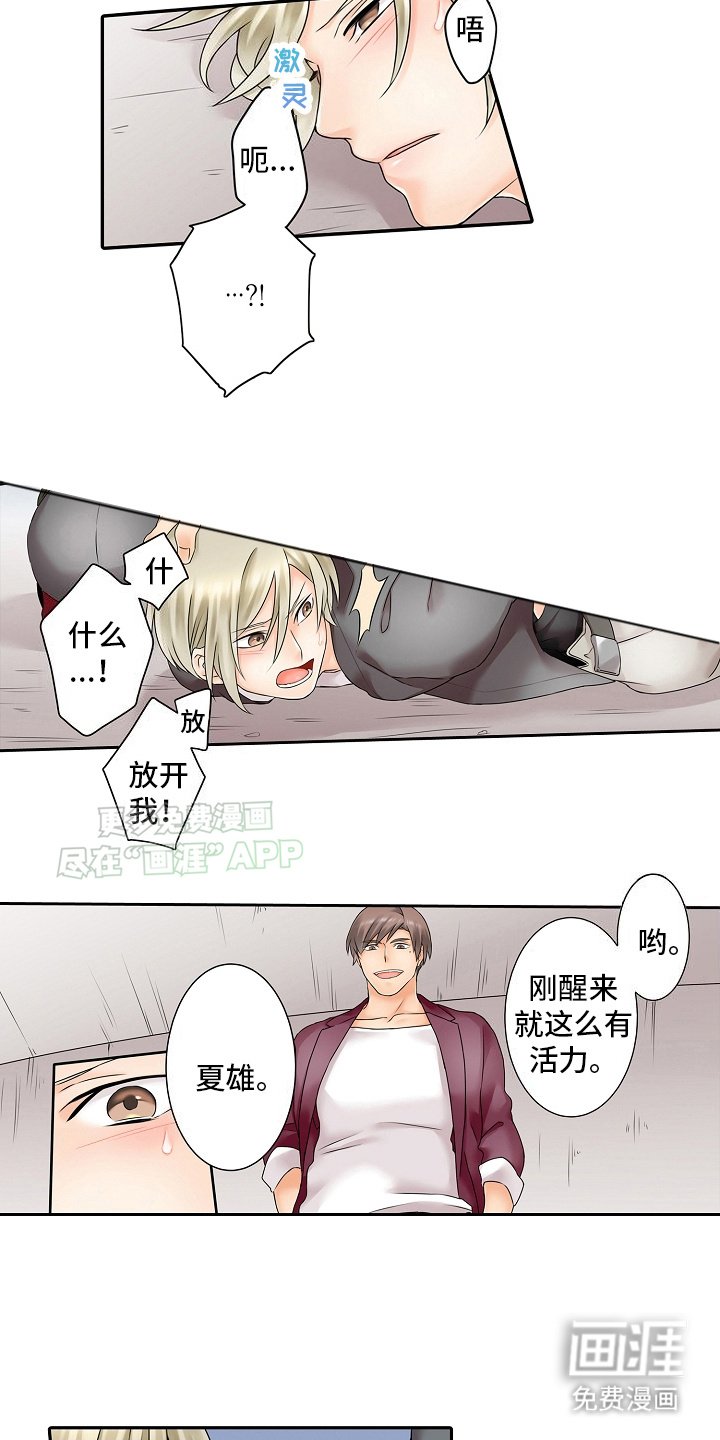 第12章：陷阱