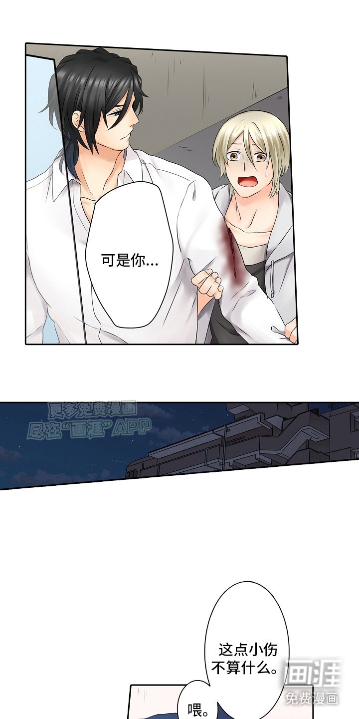 第16章：跟踪