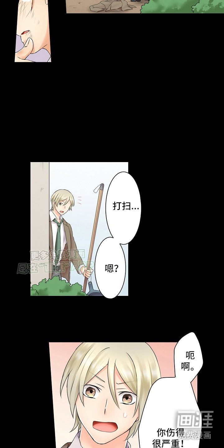 第17章：以前开始就