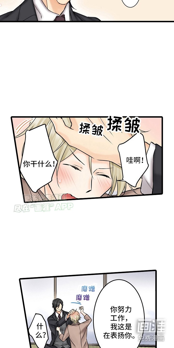第26章：不会辞职