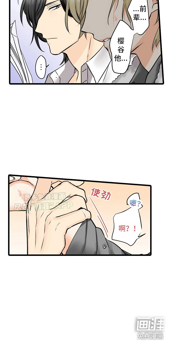 第29章：护身符