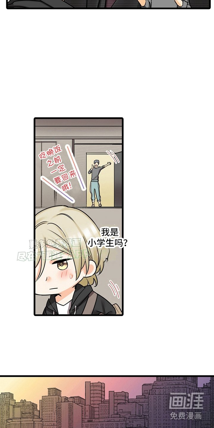第29章：护身符