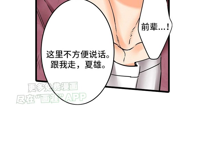 第29章：护身符