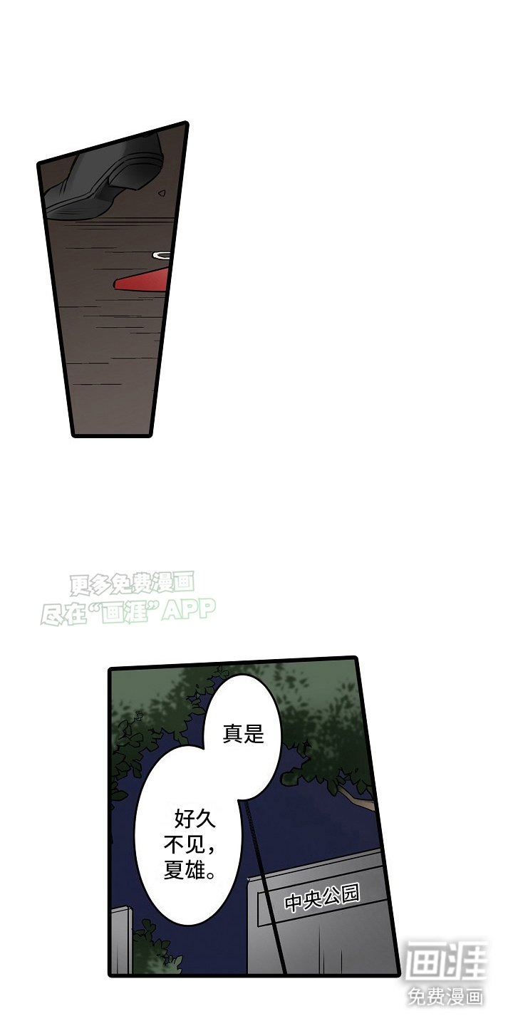 第30章：诱饵