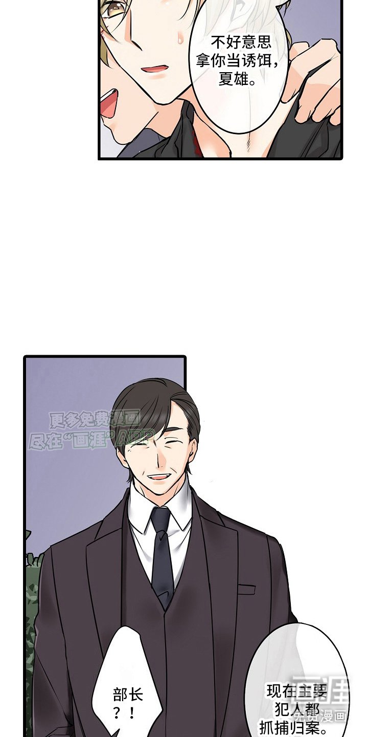 第30章：诱饵