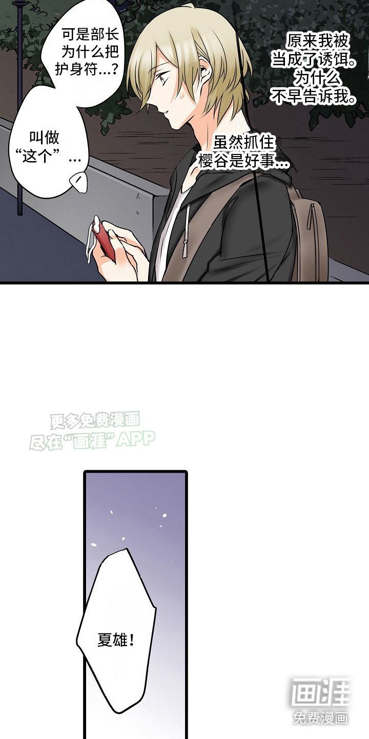 第30章：诱饵