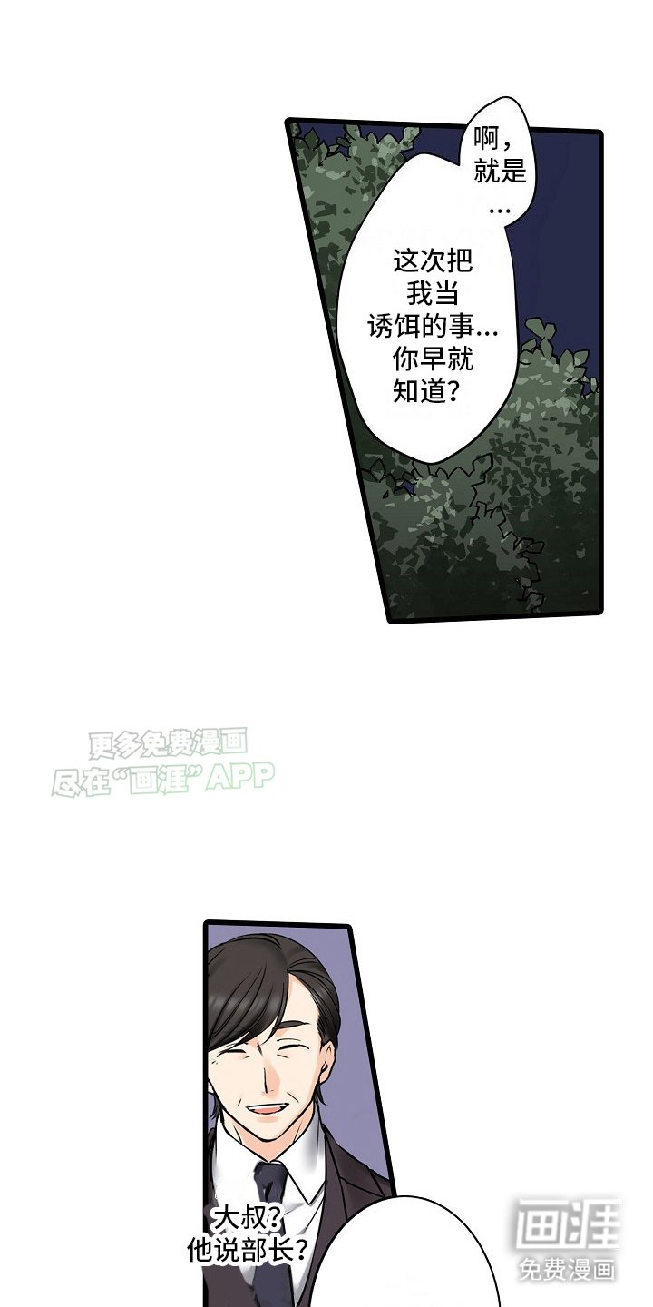 第30章：诱饵