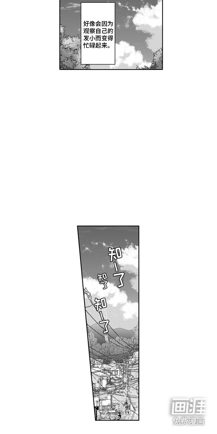 第5章： 产生兴趣