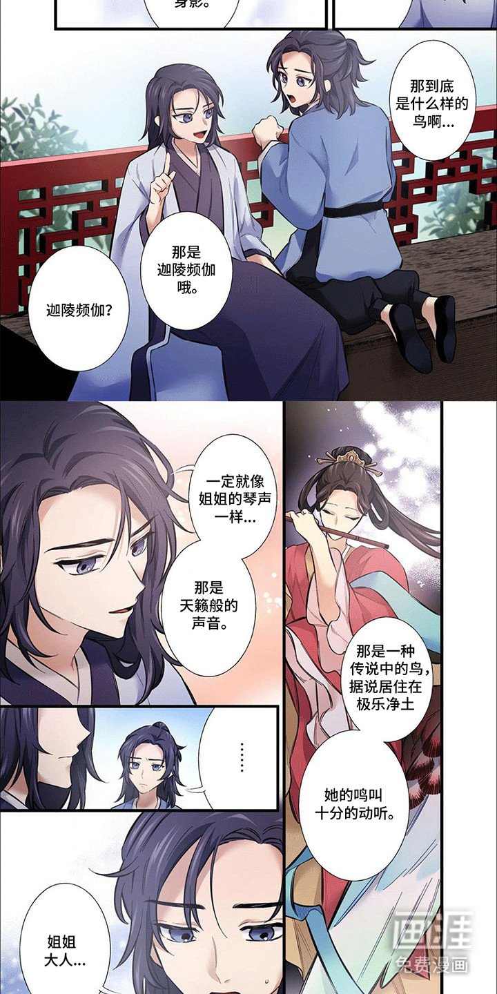 第11章：二人计划