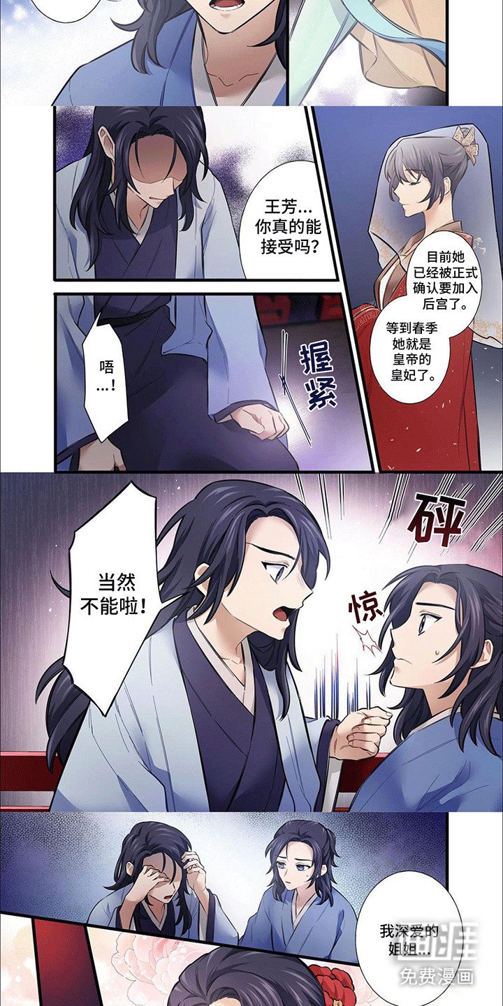 第11章：二人计划