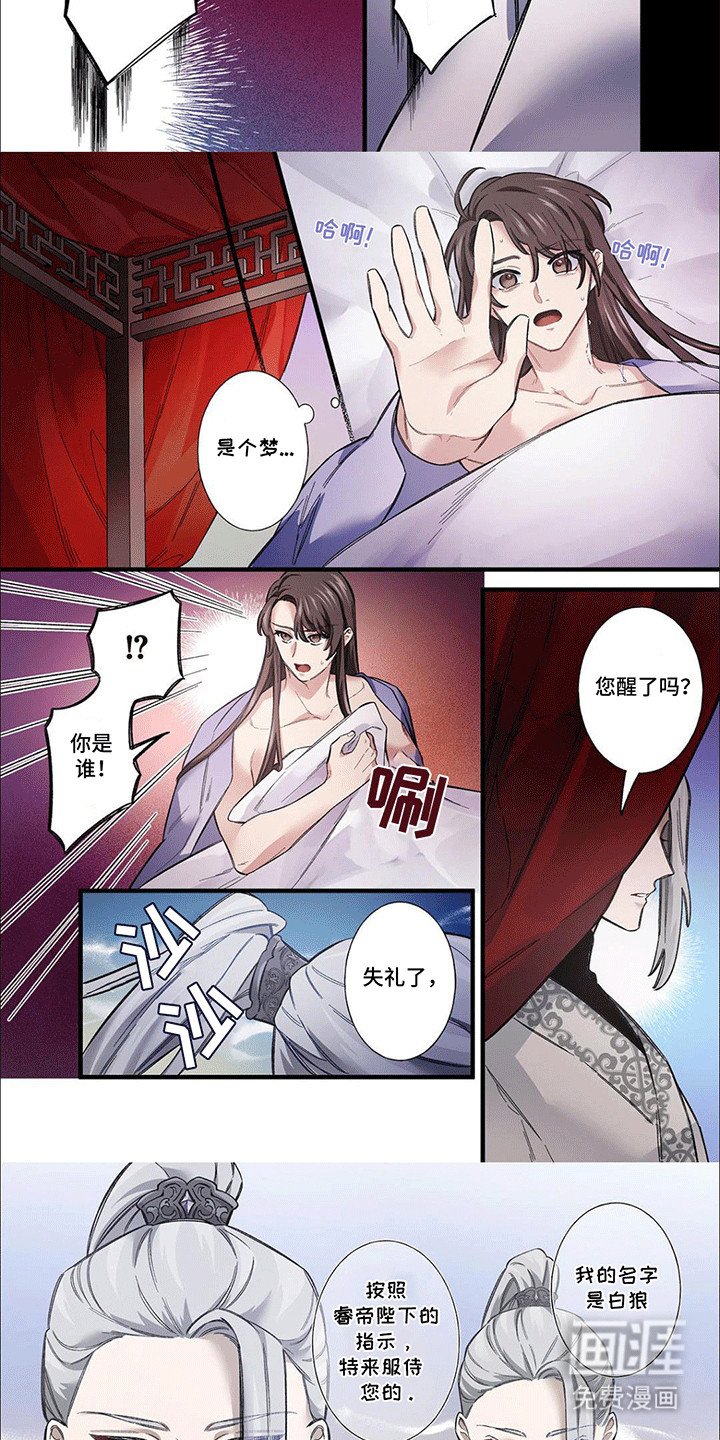 第5章：后宫