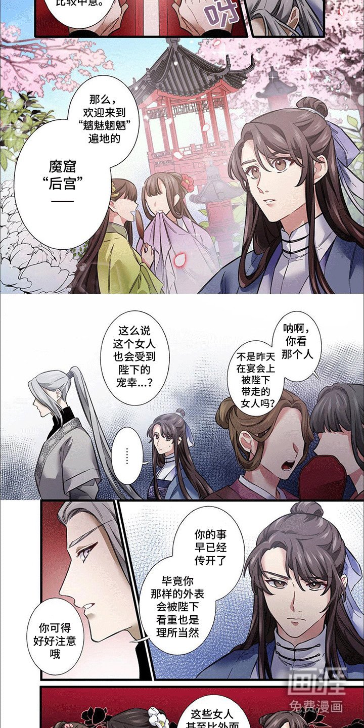 第5章：后宫