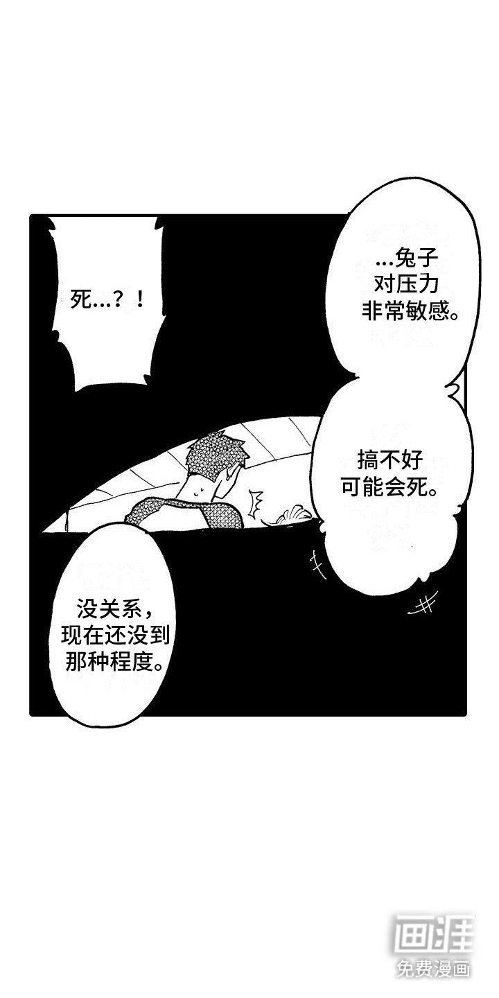 第13章：生病