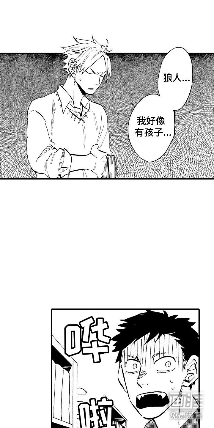 第14章：兔子怀孕