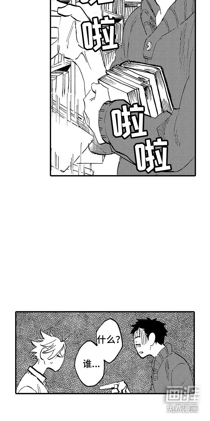 第14章：兔子怀孕