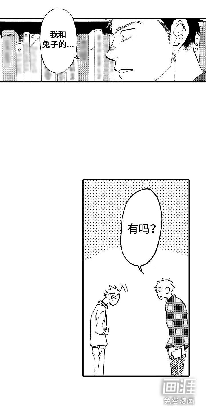第14章：兔子怀孕