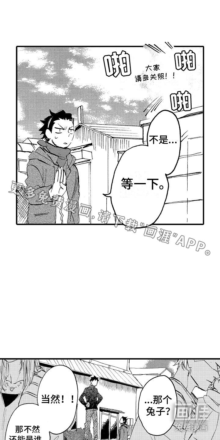 第14章：兔子怀孕