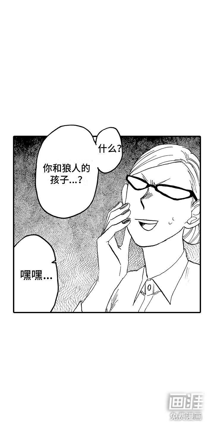 第14章：兔子怀孕
