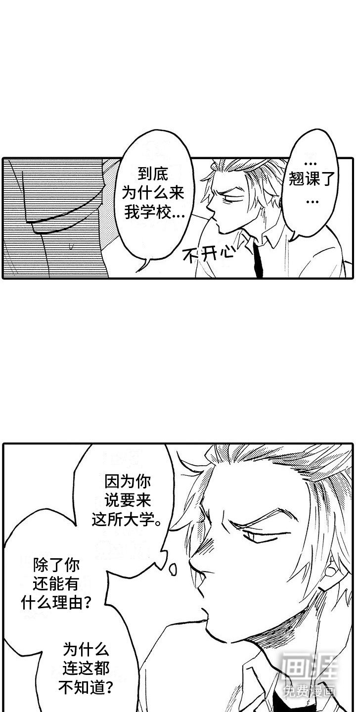 第19章：馊主意