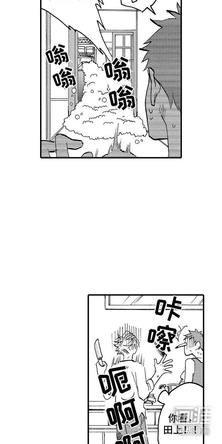 第19章：馊主意