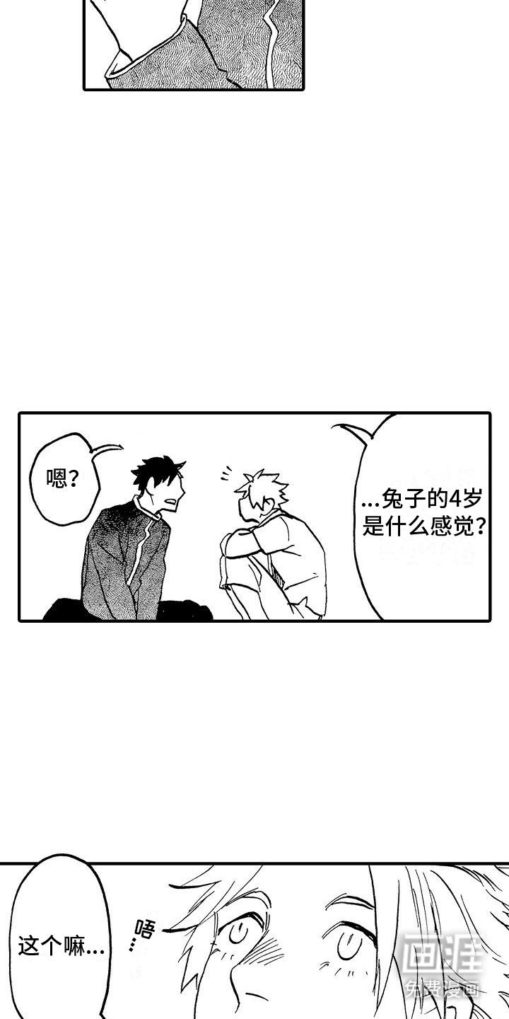 第4章：兔子的四岁