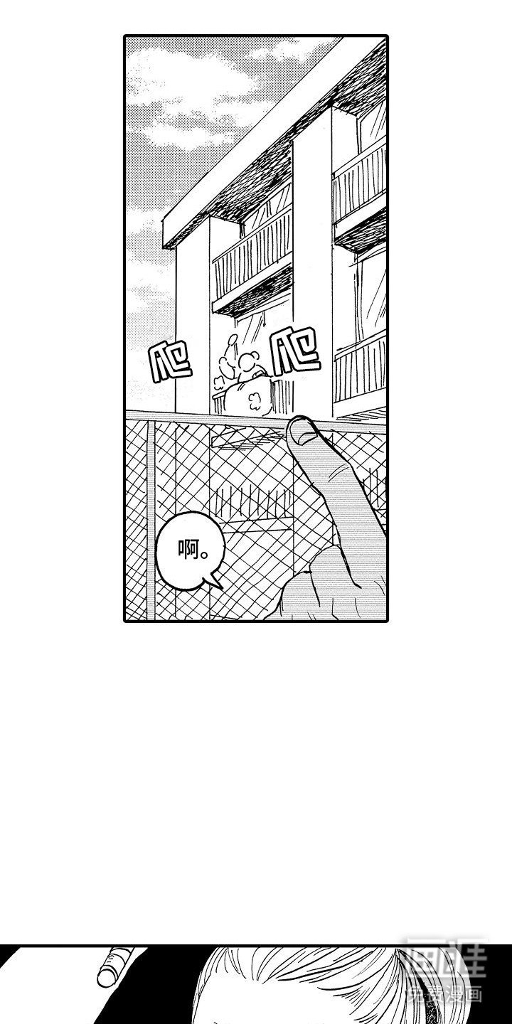 第4章：兔子的四岁