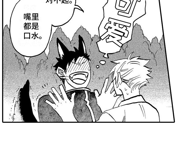 第4章：兔子的四岁