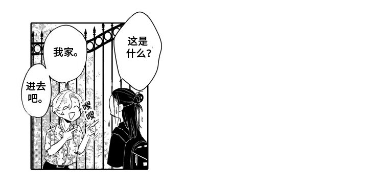 第10章：高级住宅