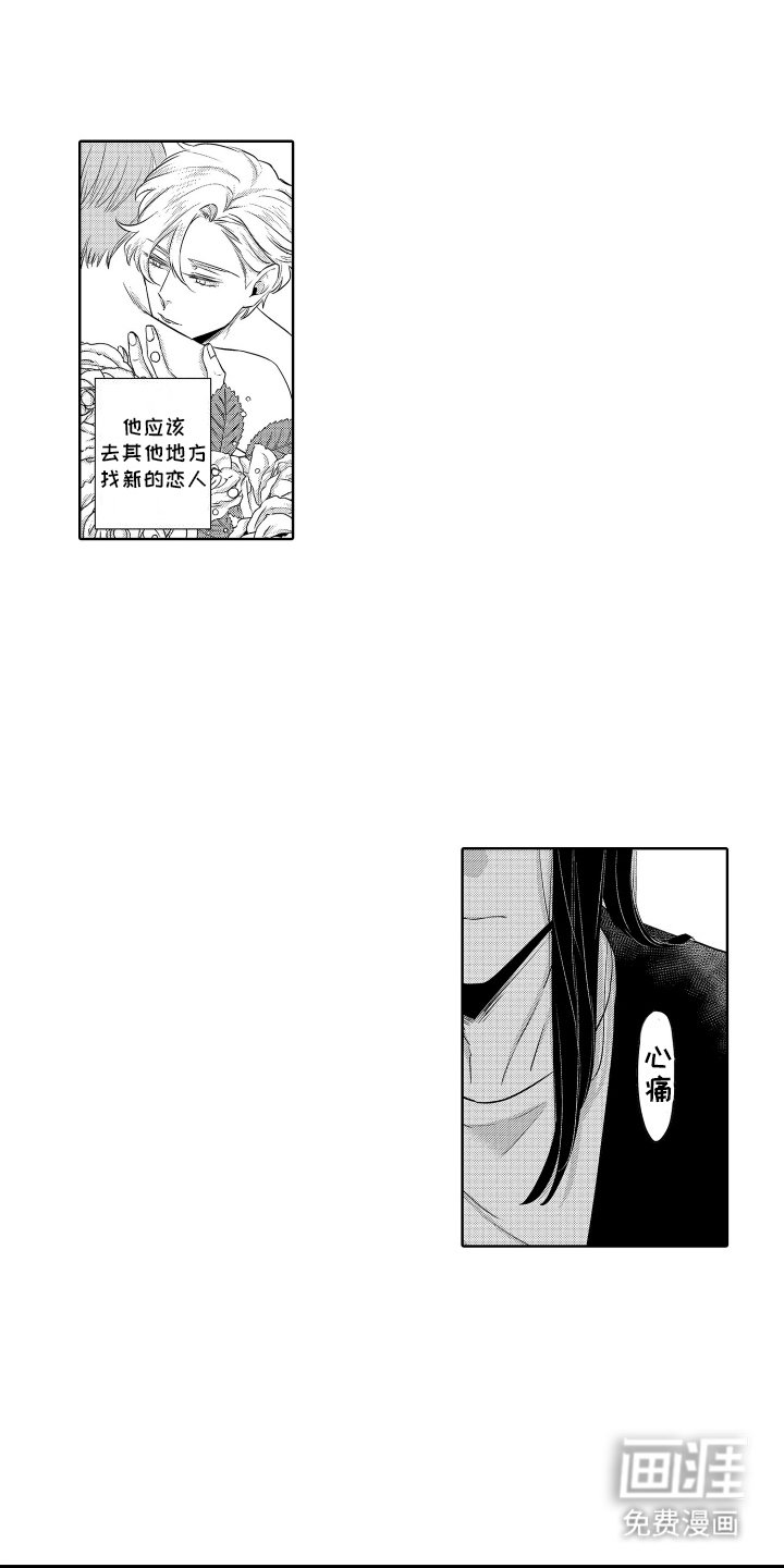 第15章：固定节目