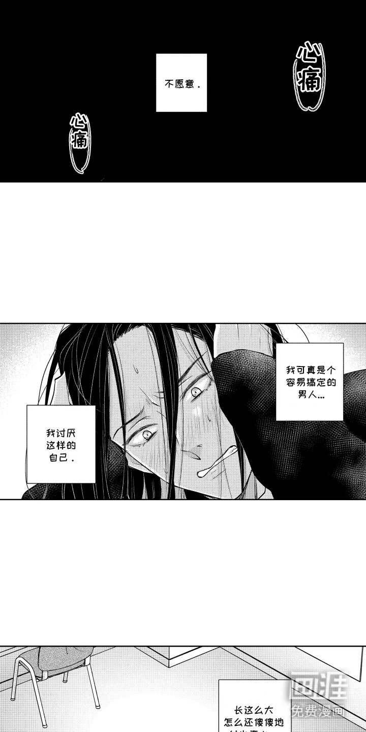第15章：固定节目