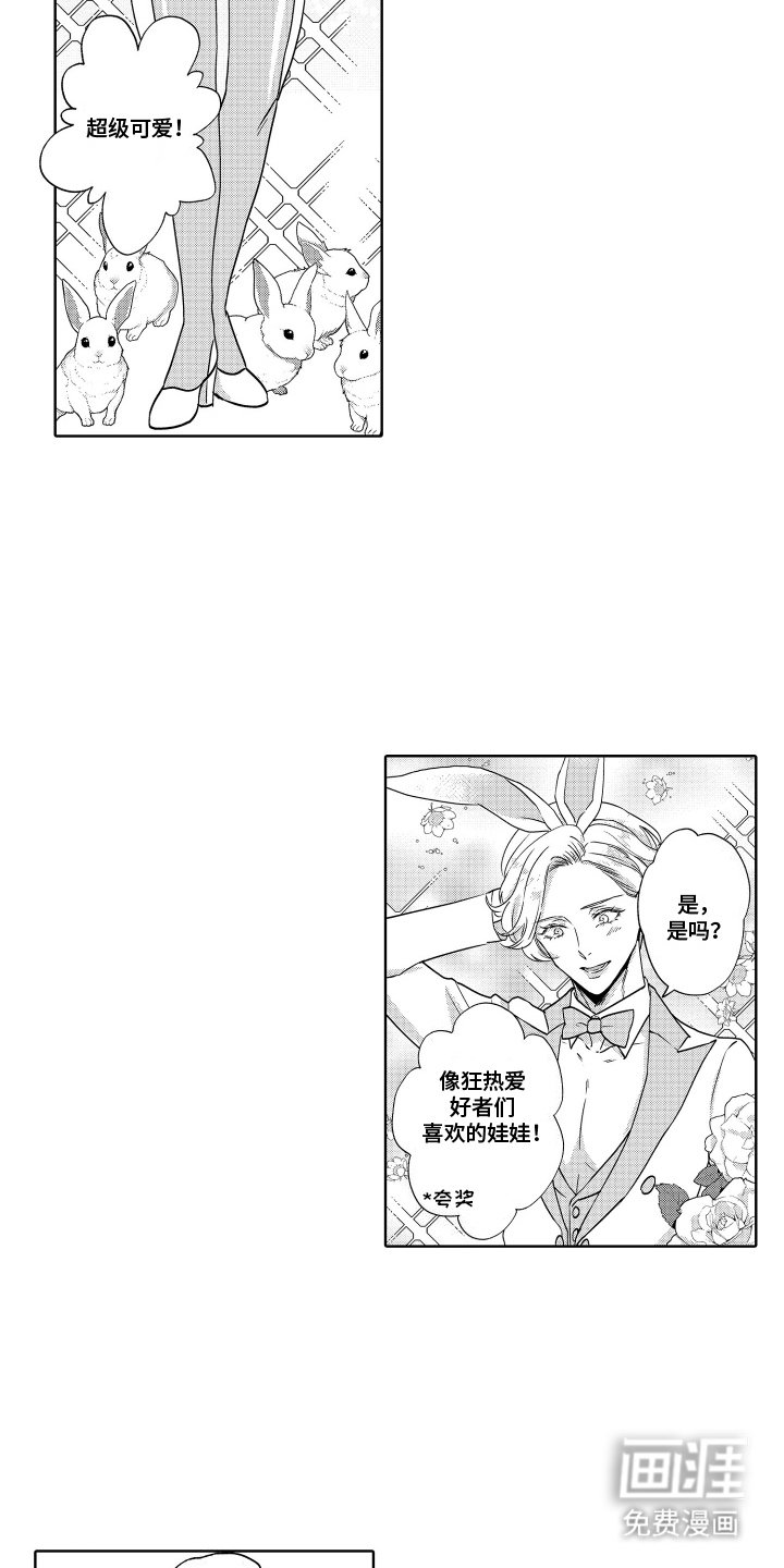 第27章：兔子