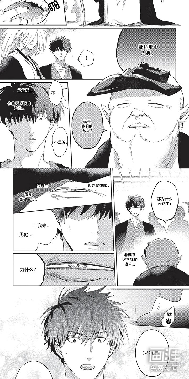 第17章：没有敌意